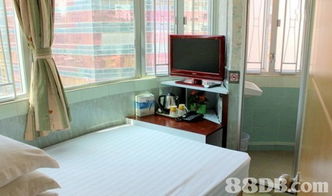 香港住宿新选择 住游行度假宾馆，灵活住宿方案满足多元需求